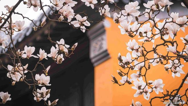 陶神助力百姓实现理想生活